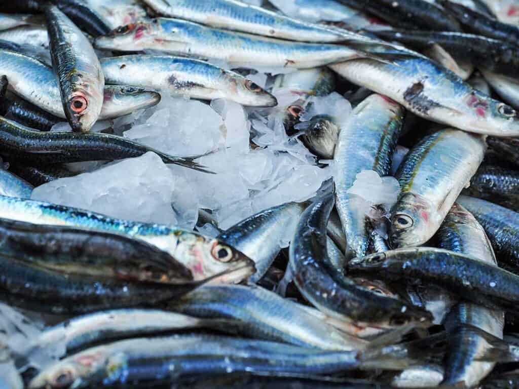 zdrowe nawyki żywieniowe swieze ryby zdrowe nawyki madre zakupy Kuchnia
