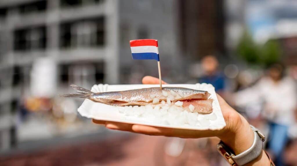 Holandia ciekawostki typowa holenderska przekaska Podróże