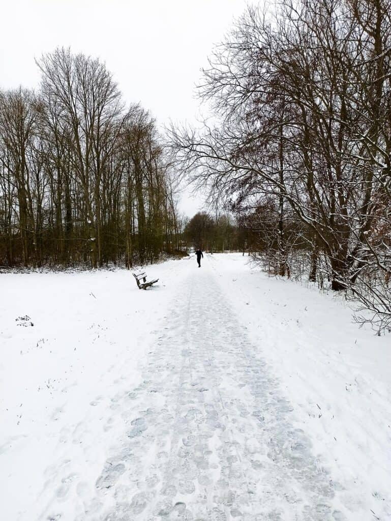 burza śnieżna zamarznieta droga las holandia blog Lifestyle