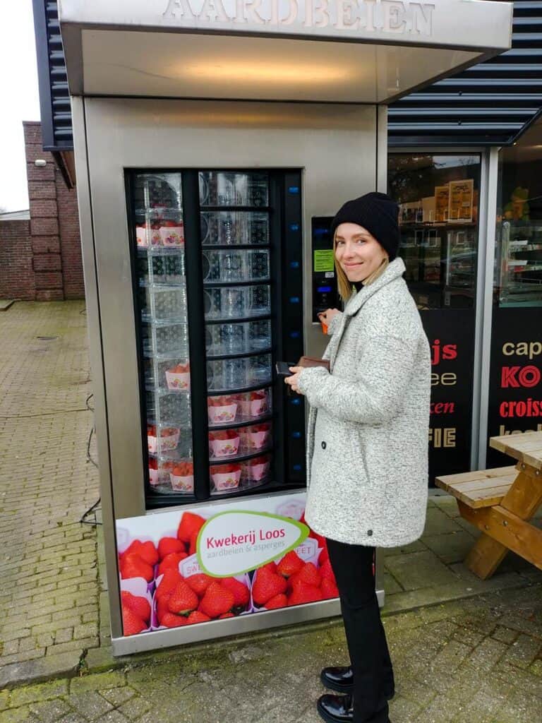 królestwo niderlandów automat z owocami Holandia ciekawostki Podróże