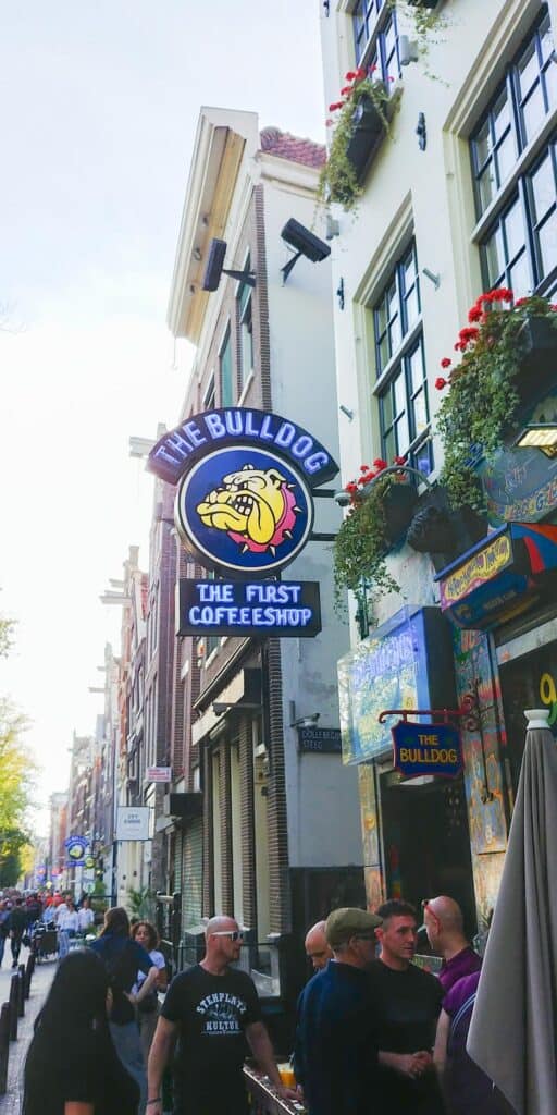 królestwo niderlandów cofee shop amsterdam Podróże
