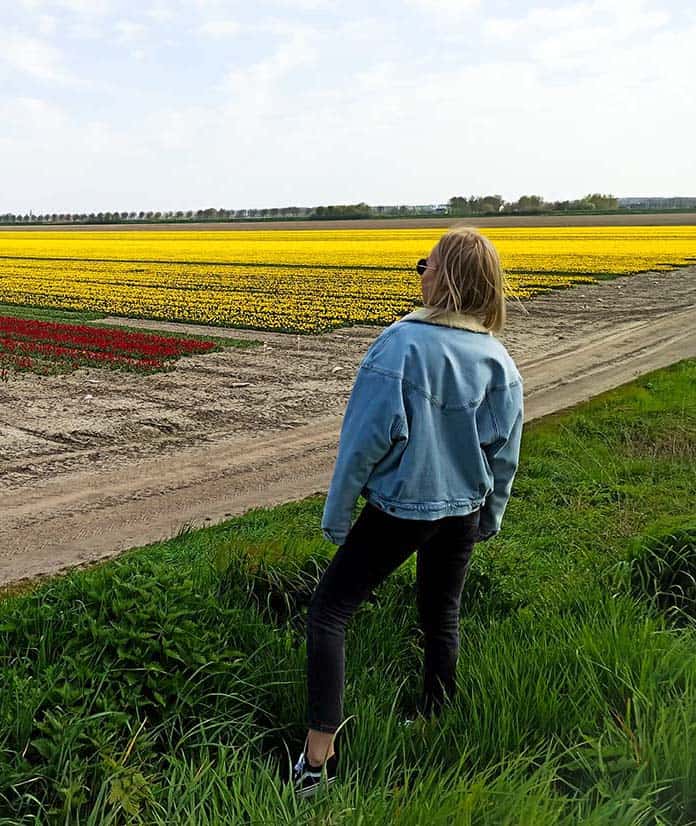 10 rzeczy do zrobienia w maju pola tulipanow Holandia blog Lifestyle