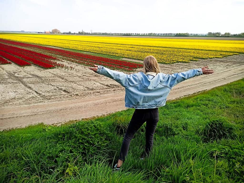10 rzeczy do zrobienia w maju wiosenne pola tulipanów Holandia