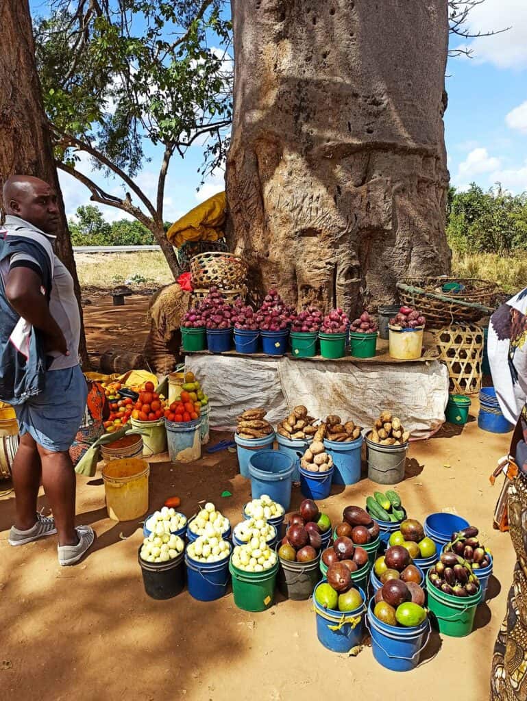 Zanzibar na własną rękę targ z owocami i warzywami zanzibar Podróże