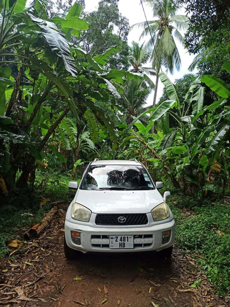 Zanzibar na własną rękę wynajem auta na zanzibarze Podróże