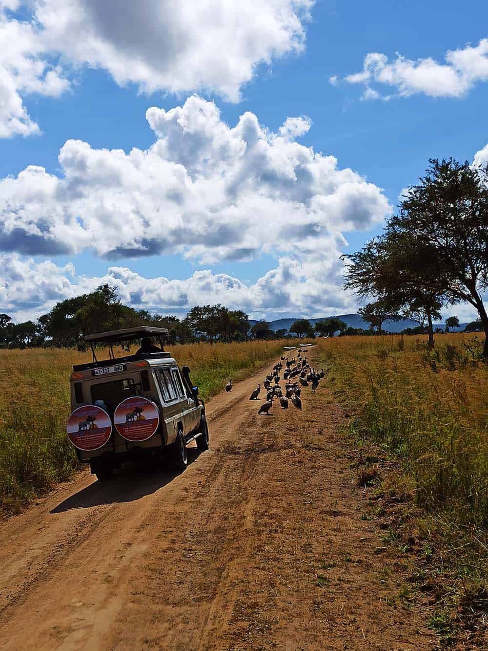 Safari z Zanzibaru Sarafi w Afryce Podróże