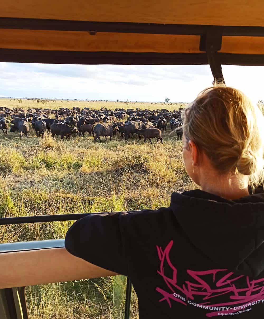 Safari z Zanzibaru stado bawolow na safari Podróże