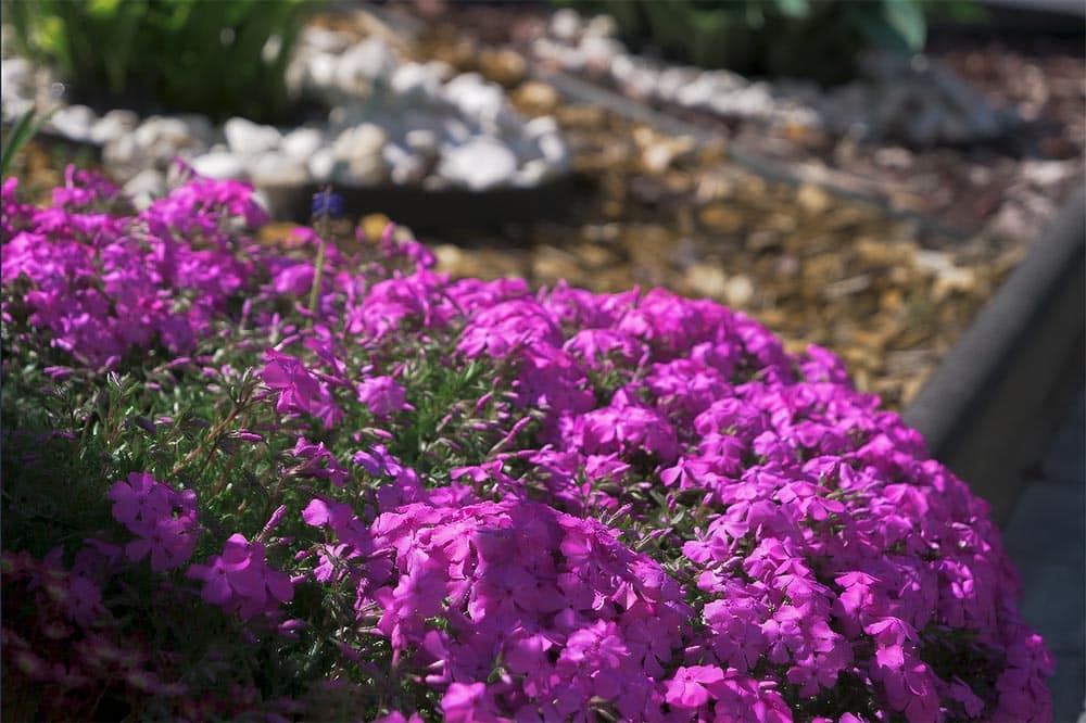 weekend majowy Majówka to stan umysłu... Piękna polska wiosna
